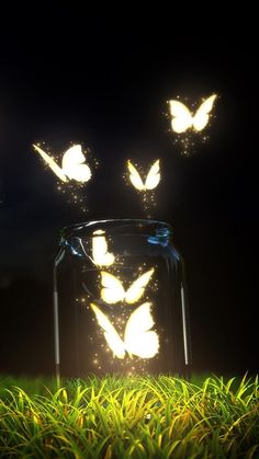 some glowing butterflies in a jar on a table