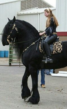 a woman riding on the back of a black horse