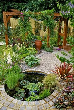 a garden with lots of plants and flowers around it, including water lilies in the center