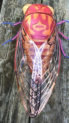 Cicada 3D paper craft, SVG files for Cricut, vector templates with step-by-step instructions, 3D low poly, DIY papercraft activity, kid's room wall decor, school project

app. 24 cm long Wall Decor School, Decor School, Bug Crafts