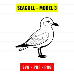 the seagull - model 3 is shown in black and white, with an outline of