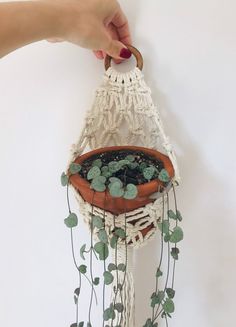 a person holding a plant in a pot on a macrame with plants growing out of it