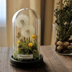 a glass clochet with flowers and plants in it sitting on a wooden table