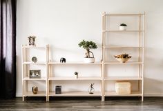 a white shelf with plants on it in front of a window