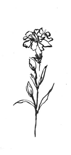 a black and white drawing of a flower