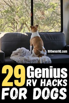 a dog sitting on top of a couch with the words 29 genius rv hacks for dogs