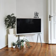 a flat screen tv sitting on top of a wooden floor next to a potted plant