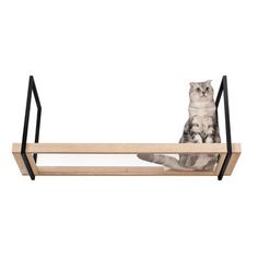 a cat sitting on top of a wooden shelf with black metal bars around the edge