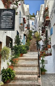 an alleyway with potted plants and stairs leading up to the rooms on either side