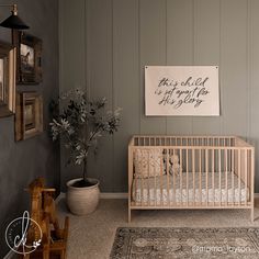 a baby's room with a crib, potted plant and pictures on the wall