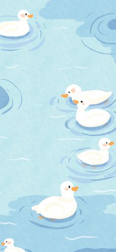 three white ducks floating on top of blue water