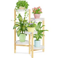 three tiered plant stand with potted plants on each shelf and one standing upright