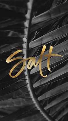 the word salt written in gold on black feathers