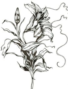 a black and white drawing of a flower