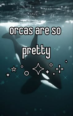 an orca swimming in the ocean with words above it that says, oceans are so pretty