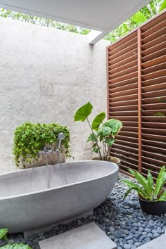 a bathtub sitting in the middle of a garden