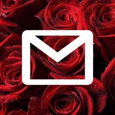 a bunch of red roses with the letter m on it's front and bottom corner