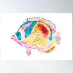 a watercolor painting of a colorful fish poster