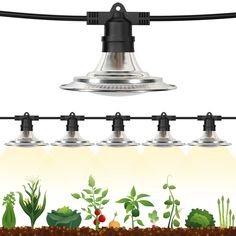 an image of plants growing in the ground under a light fixture that is attached to a wire