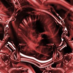 red and black abstract photograph with two snakes