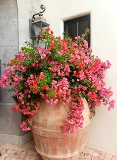 a large potted plant with pink flowers in it