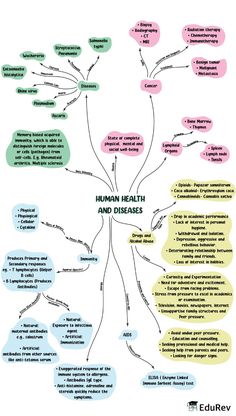 the human health and disease mind map