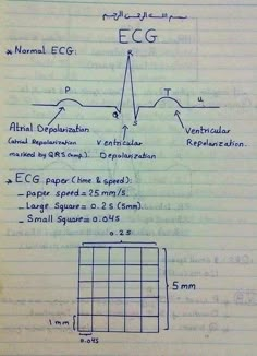 Notes Instagram, Basic Anatomy, Nursing School Motivation, Medical Mnemonics