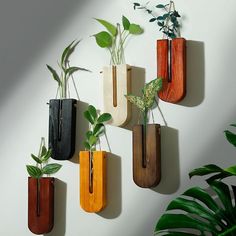 several wooden planters are hanging on the wall