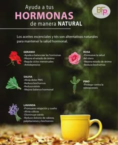 Herbal Teas Aesthetic, Nourishing Herbal Infusions, Herbal Tea Benefits Healing Herbs, Yerba Mate Magical Properties, Healthy Facts, Health Board, Natural Healing Remedies, Healthy Teas