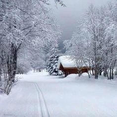 a cabin in the middle of a snowy forest with trees on both sides and a path leading to it