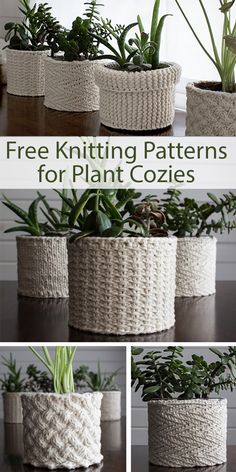 four different pictures of plants in baskets with text that reads free knitting patterns for plant cozies