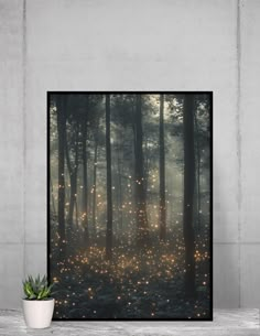 a poster with lights in the forest on it's side and a potted plant next to it