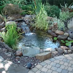 a small pond surrounded by rocks and plants