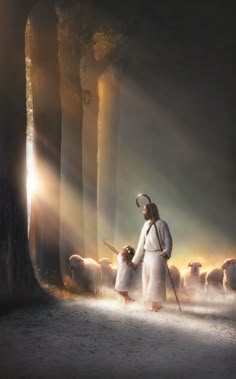 jesus walking with his children through the woods in front of him is light shining on them