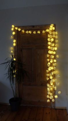 a door with some lights on it and a potted plant in front of it