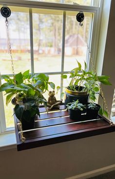 Unique Bridal Shower Gift | Bridal Shower Gift | Plant Stand | Hanging Window Shelf | Windowsill Plant Shelf | Hanging Plant Shelf | Hanging Window Plant Shelf | Suction Window Shelf | Plant Shelf | Hanging Plant Stand | Hanging Window Plant Stand | Wooden Plant Stand | Hanging Wooden Window Shelf | Indoor Plants  This hanging window shelf is handmade with quality wood and can be customized to fit your needs, making it the perfect unique housewarming gift! The recipient can use it for plants, kn Hanging Window Shelf, Hanging Window Plant Shelf, Plant Shelf Window, Window Plant Stand, Plant Window Sill, Plant Stand Hanging, Window Sill Planter, Window Sill Shelf, Hanging Plant Stand