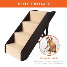 an image of a stair case for dogs that has been designed to keep them safe