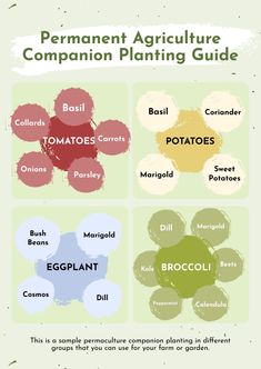 the different types of plants and their names