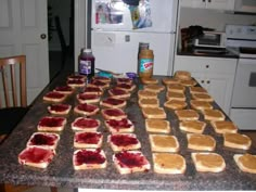 peanut butter and jelly sandwiches on a kitchen counter