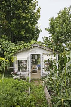 a small white shed sitting in the middle of a garden