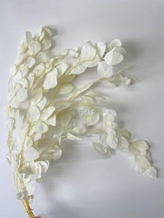 a bunch of white flowers sitting on top of a table