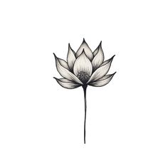 a black and white drawing of a lotus flower