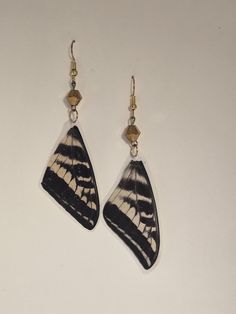 western swallowtail butterfly wing earrings. laminated and super lightweight. Gold bead. The wings were collected out in nature where the butterflies were naturally picked off by birds. I have picked the best looking wings but because they are all natural some do have tears and the shapes may not be symmetrical. I tried my best. but also that's what makes each pair so unique. Butterfly Wing Earrings Diy, Buterfly Wing Earrings, Butterfly Wings Earrings, Real Butterfly Wing Jewelry, Multicolor Butterfly Earrings, Butterfly Wing Earrings, Swallowtail Butterfly, Butterfly Wing, Wing Earrings