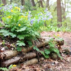 a pile of wood with flowers growing out of it