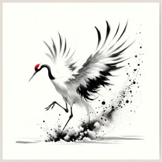 a white and black bird with red eyes is flying through the air while it's wings are spread out