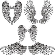 four angel wings with different shapes and sizes