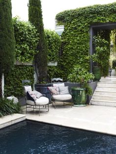 a pool with chairs and plants around it