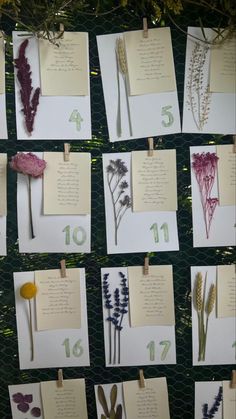 several different types of flowers are pinned to the side of a bulletin board with notes on them