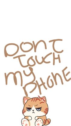 an orange and white cat with the words don't touch my phone