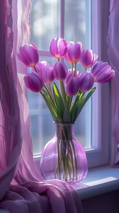 purple tulips in a clear vase on a window sill with pink drapes